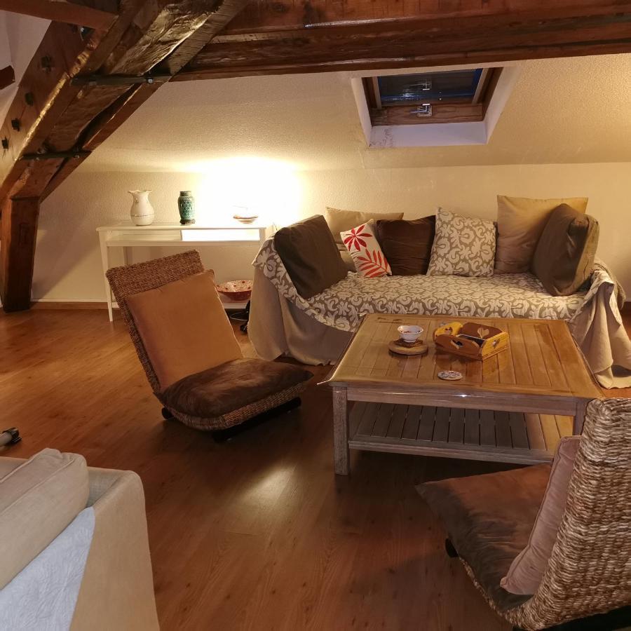 Cosy And Calm In Grenoble City Heart With Free And Large Parking Q-Park Chavant מראה חיצוני תמונה
